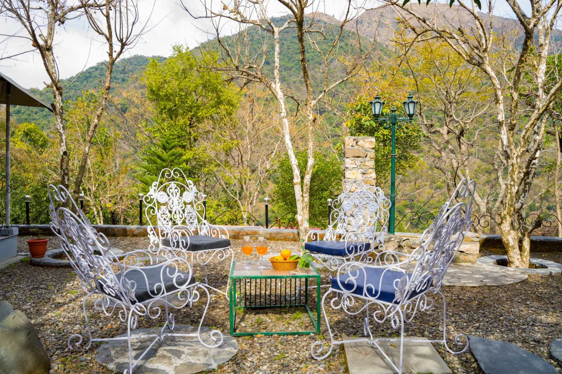 cfbn☺︎ house on the hill Ballet柄　80cm Zephyr Classic Tent with Pool in Mussoorie
