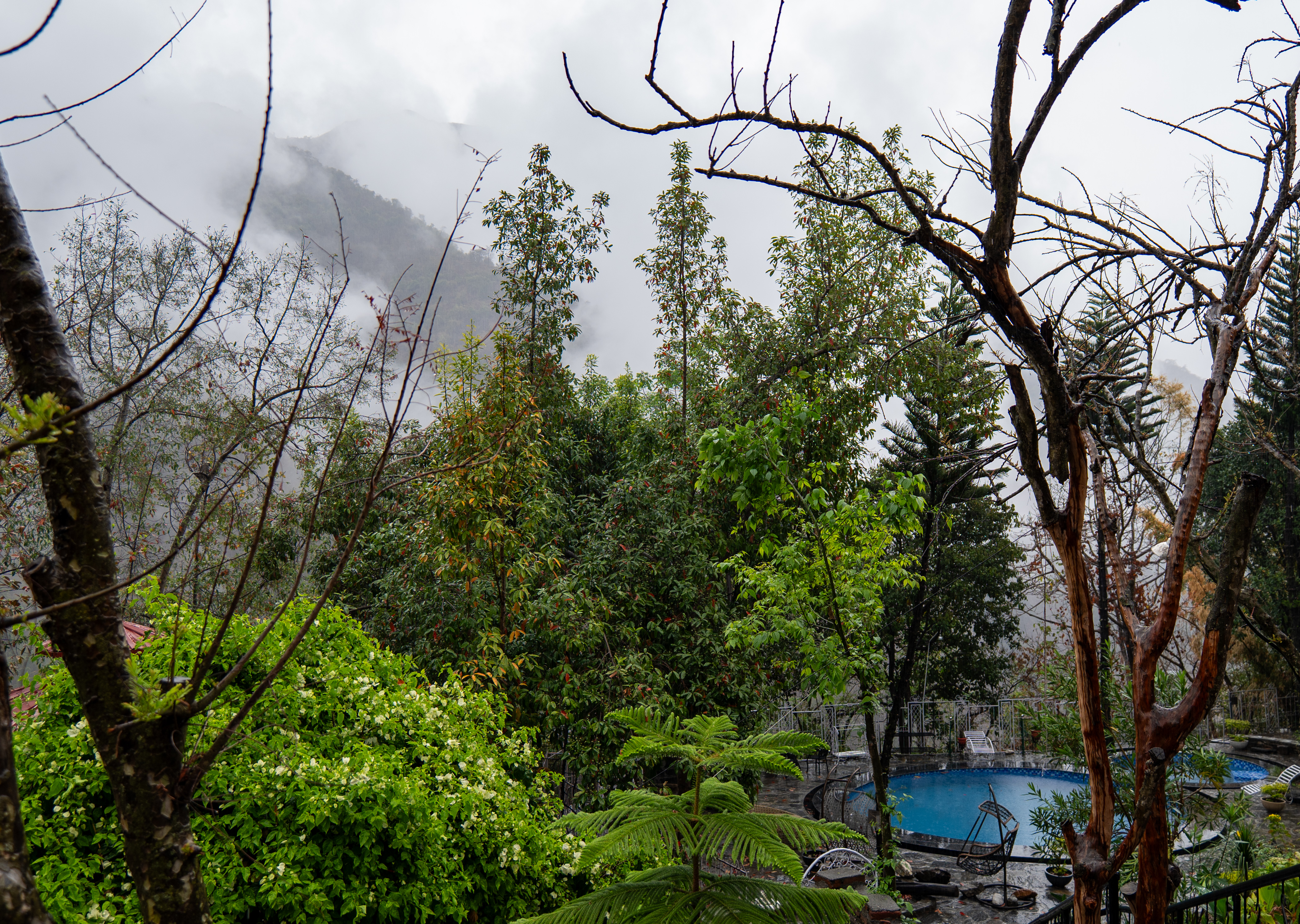 Zephyr Heaven - 1-Hillview Room with Pool in Mussoorie