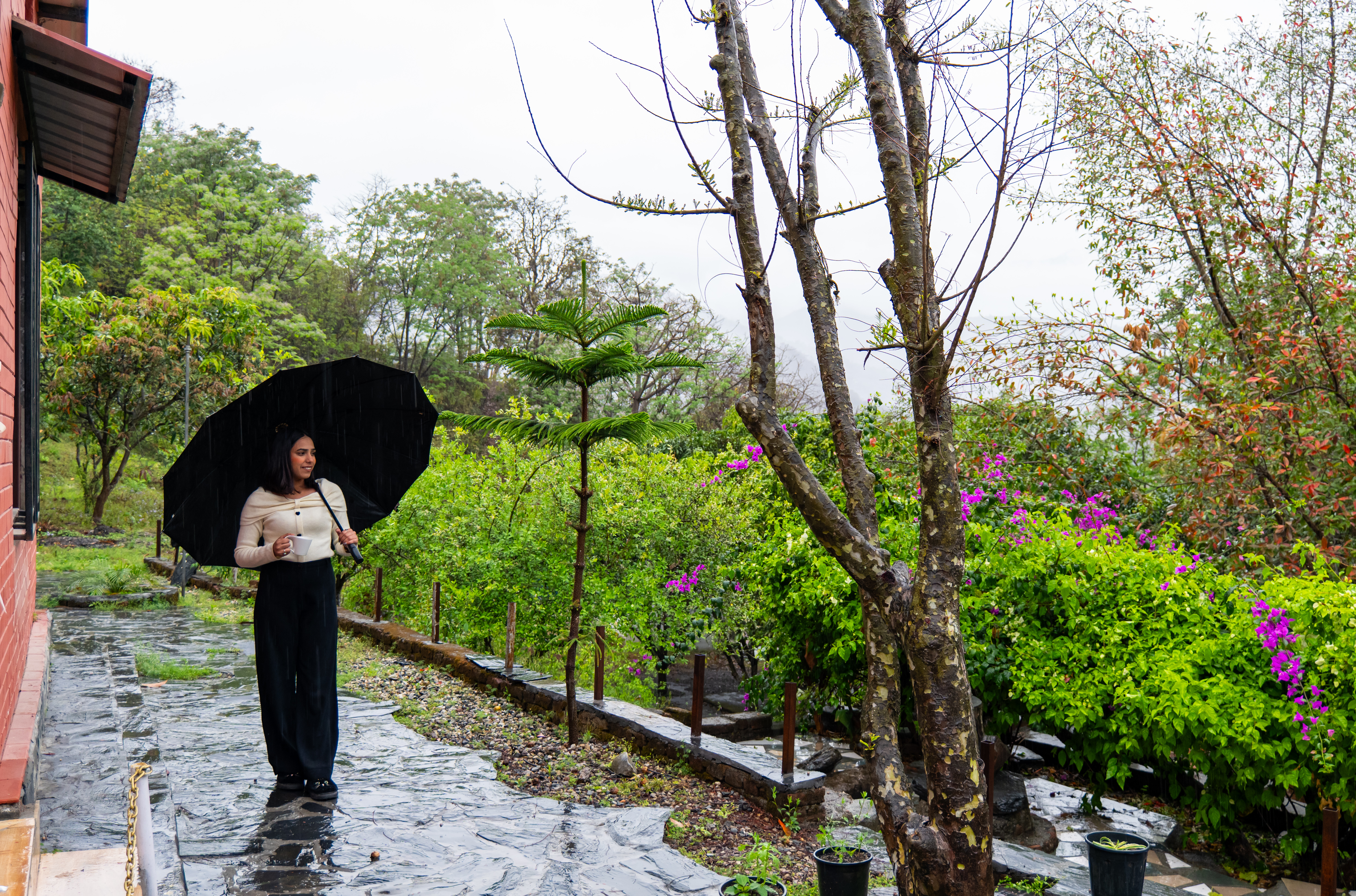ハウスオンザヒル house on the hill 2点セット Zephyr Heaven - 1-Hillview Room with Pool in Mussoorie