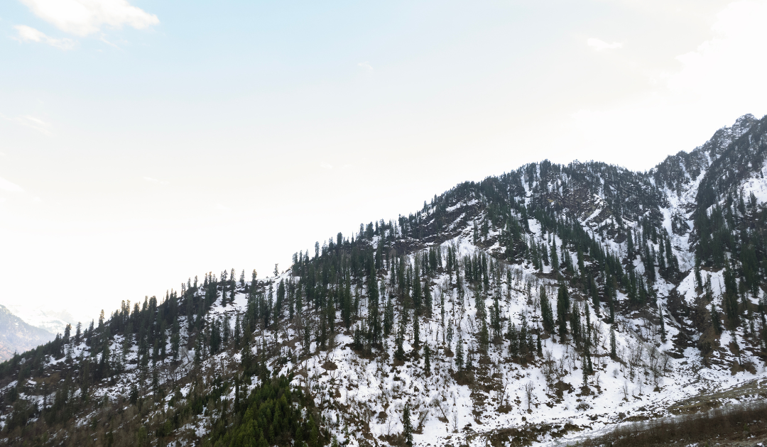 Snowy Peaks & Hill Stations: Best Places to Visit in January