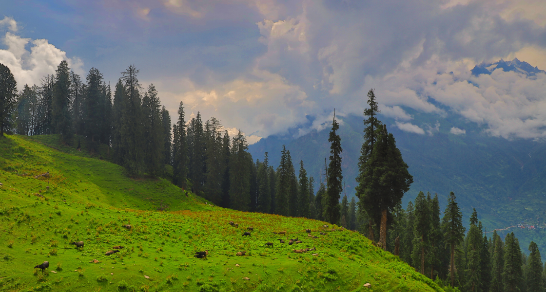 Top 20 Tourist Places to Visit in Himachal Pradesh - ELIVAAS