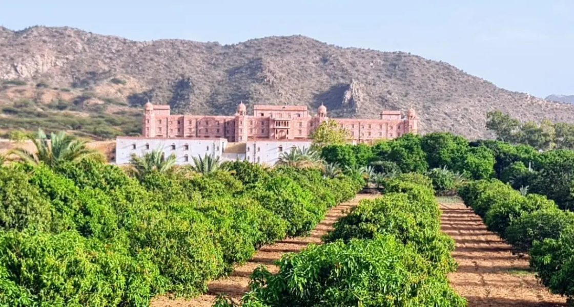 Places to Visit in Pushkar: Best Tourist Attractions You Can't Miss